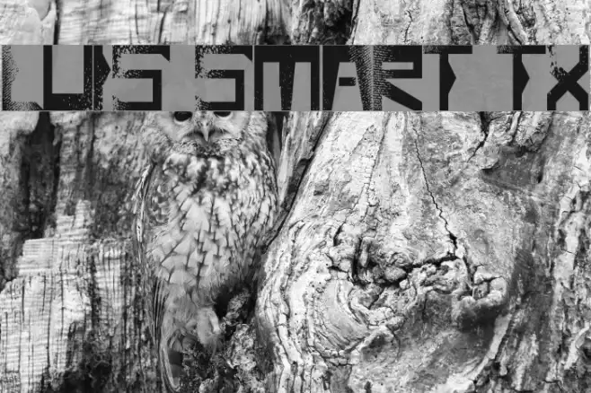Luis Smart TX Example 2