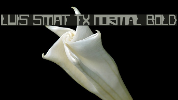 Luis Smat TX Normal Bold Font examples