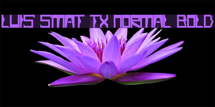 Luis Smat TX Normal Bold Font examples
