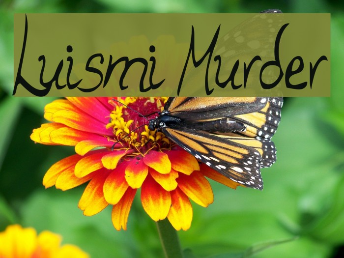 Luismi Murder Font examples