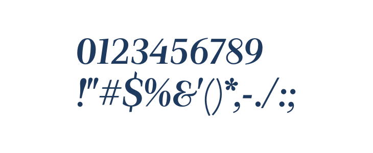 LuissSerif-BoldItalic Other Characters