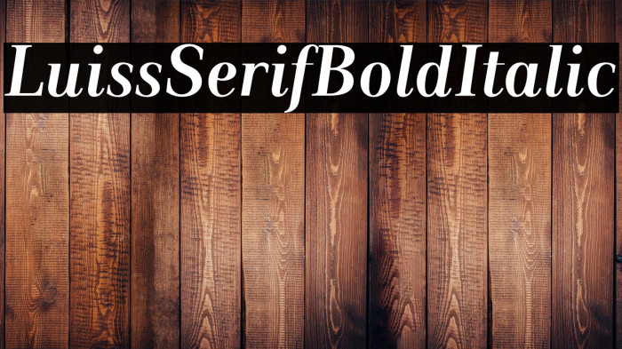 LuissSerif-BoldItalic Example 2