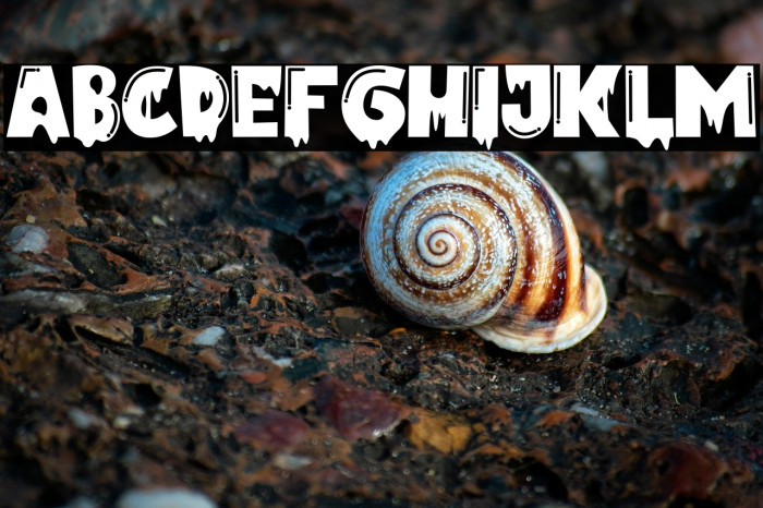 Lukalama Regular Example 2