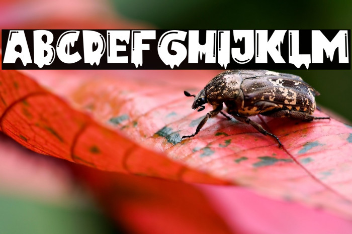 Lukalama Regular Example 3