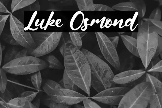 Luke Osmond Example 3