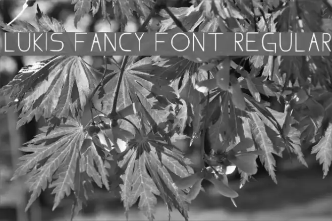 Lukis Fancy Font Regular Example 1