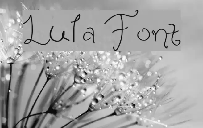 Lula Font examples