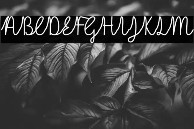 Lulu-Lala Fuentes examples