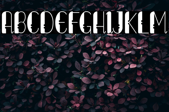 Lumberjack Example 2