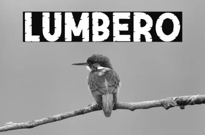 Lumbero Font examples