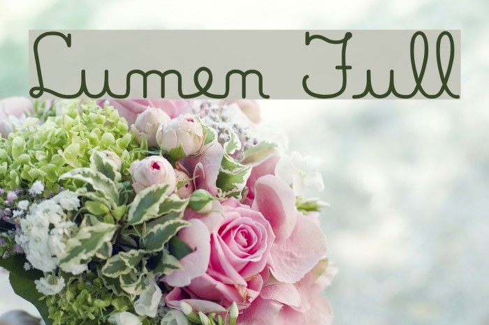 Lumen Full Example 1