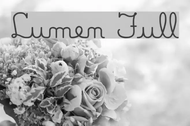 Lumen Full Font examples