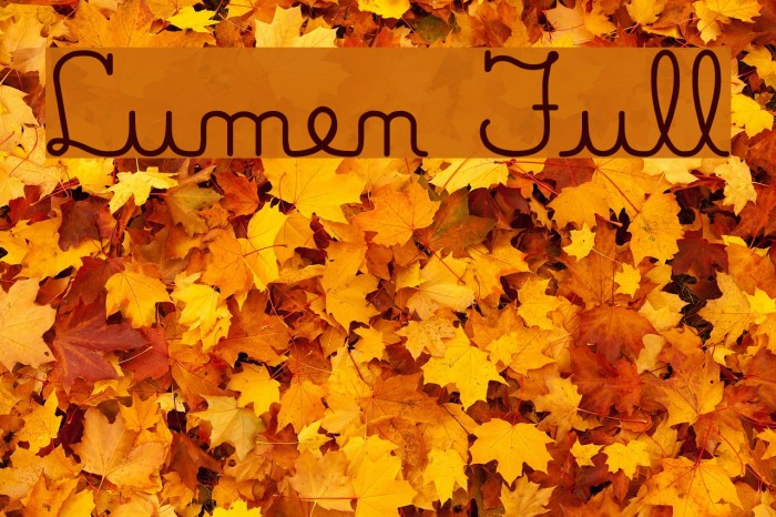 Lumen Full Example 2