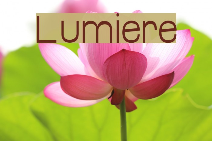 Lumiere Font examples