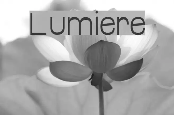 Lumiere Example 1