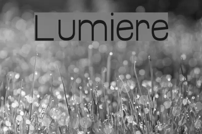 Lumiere Example 3