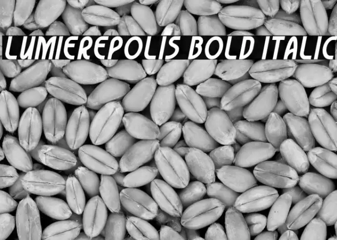 Lumierepolis Bold Italic Font examples
