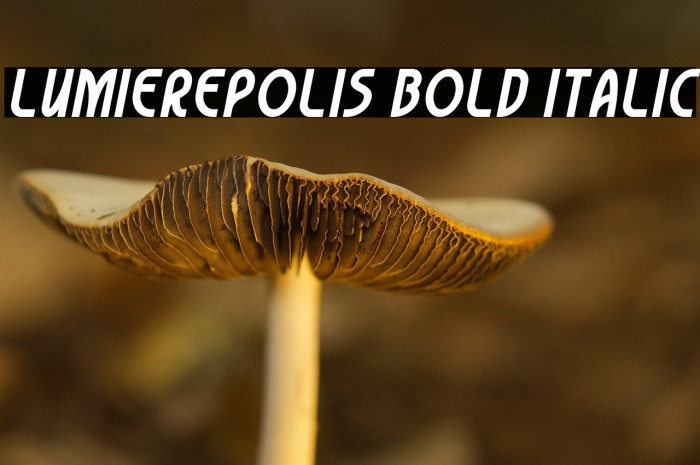 Lumierepolis Bold Italic Font examples