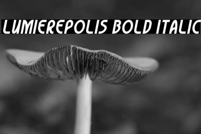Lumierepolis Bold Italic Font examples