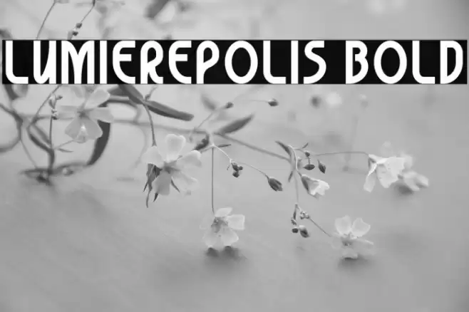 Lumierepolis Bold Font examples