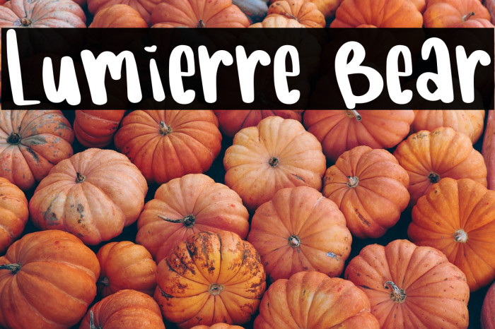 Lumierre Bear Example 1