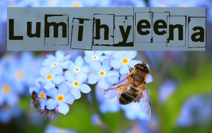 Lumihyeena Font examples
