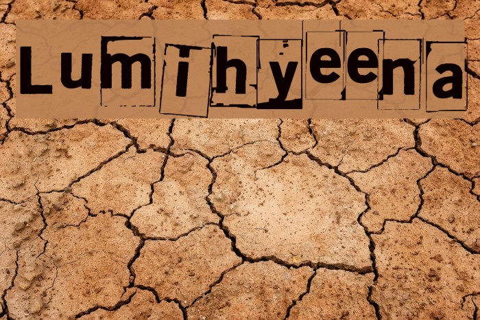 Lumihyeena Font examples