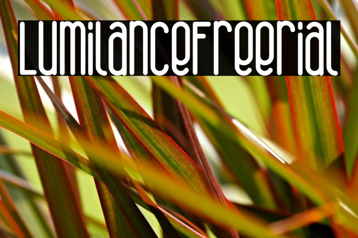 Lumilance Free Trial Example 1