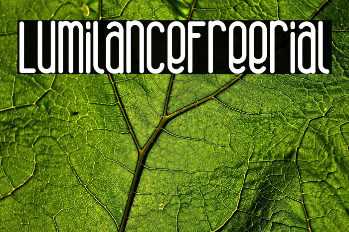 Lumilance Free Trial Example 2