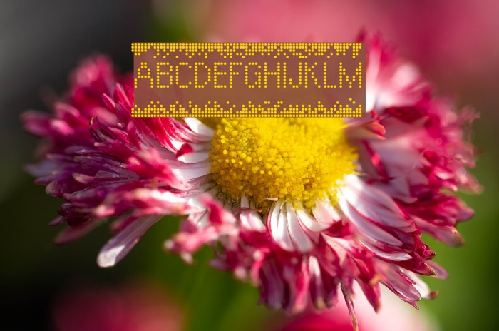 Lumine Hall Regular Font examples