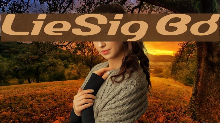LumineSign Bold Font examples