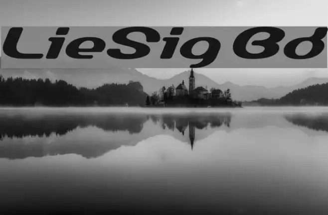 LumineSign Bold Example 3