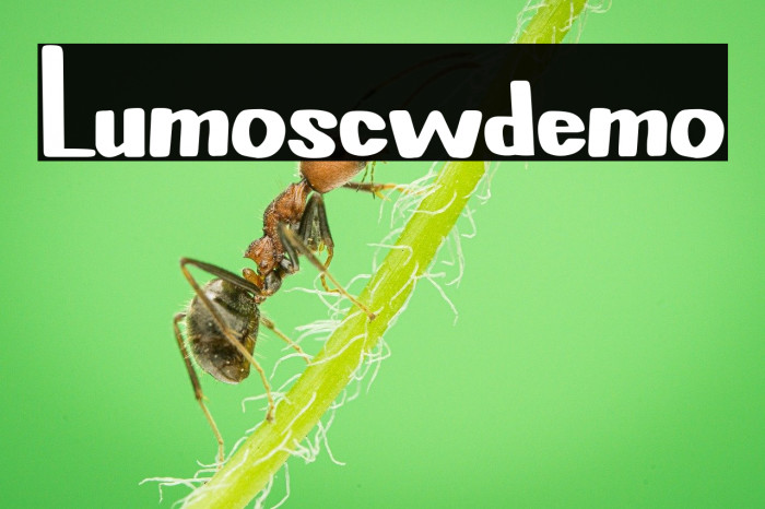 Lumo-scw--demo Example 3