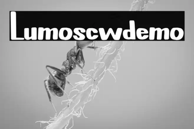 Lumo-scw--demo फ़ॉन्ट examples