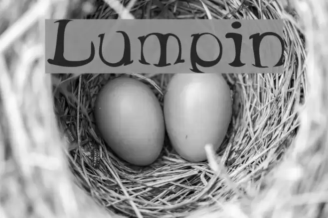 Lumpin Font examples
