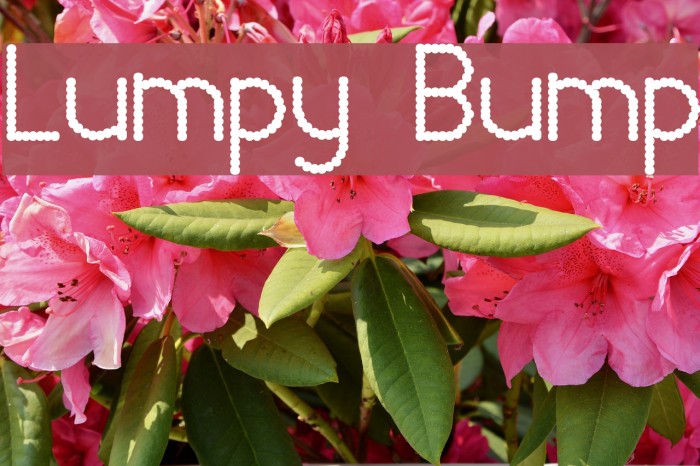 Lumpy Bump Schriftart examples