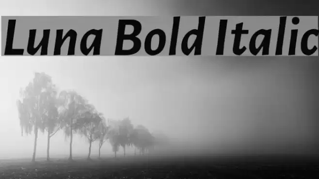 Luna Bold Italic Font examples