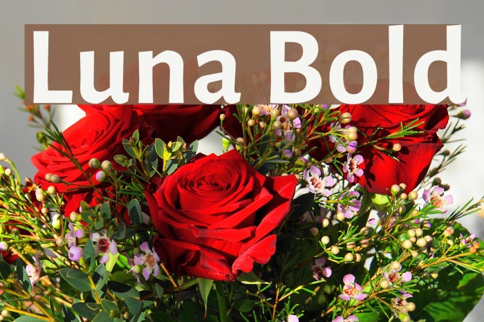 Luna Bold Font examples