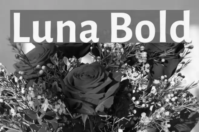Luna Bold Example 1