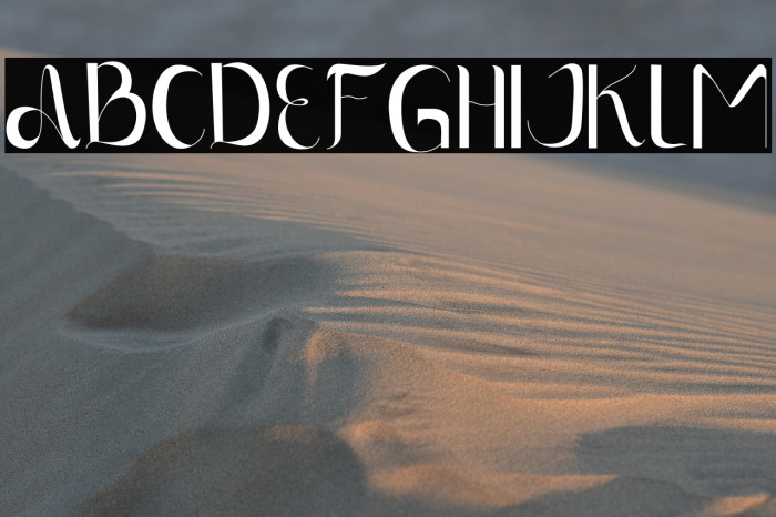 Luna Domestic Example 2