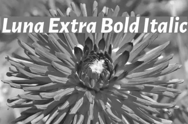 Luna Extra Bold Italic Font examples