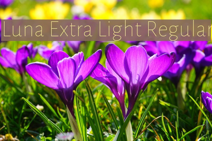 Luna Extra Light Regular Font examples