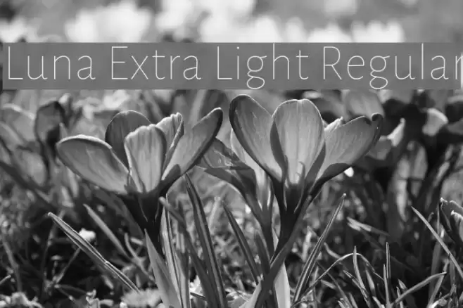 Luna Extra Light Regular Font examples