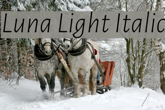 Luna Light Italic Font examples