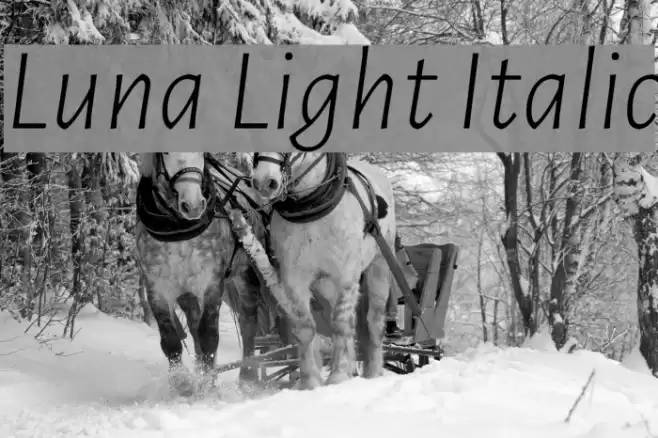 Luna Light Italic Font examples