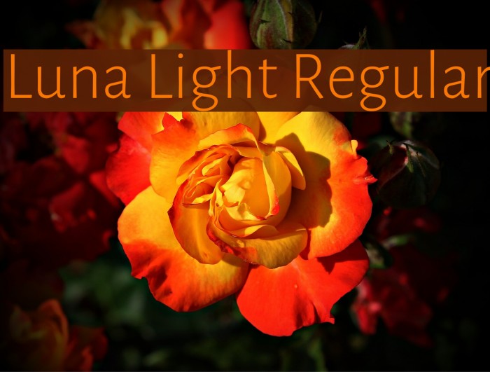 Luna Light Regular Font examples