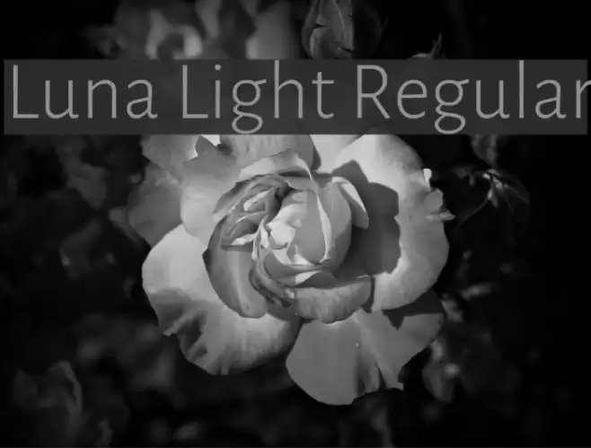 Luna Light Regular Font examples