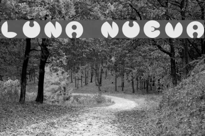 Luna Nueva Font examples