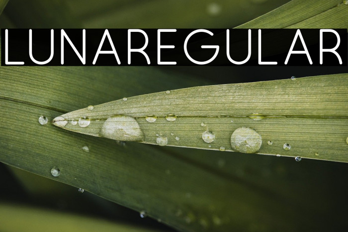 Luna-Regular Example 3