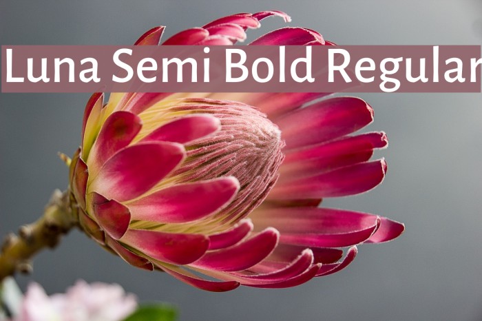 Luna Semi Bold Regular Font examples